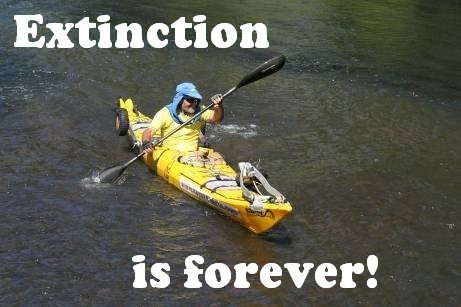 Extinction is forever!